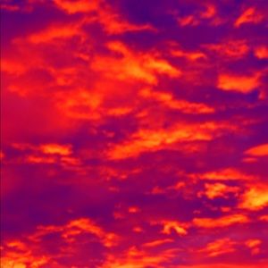 Meet your Posher, Mallory